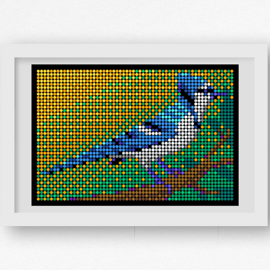 Blue Jay